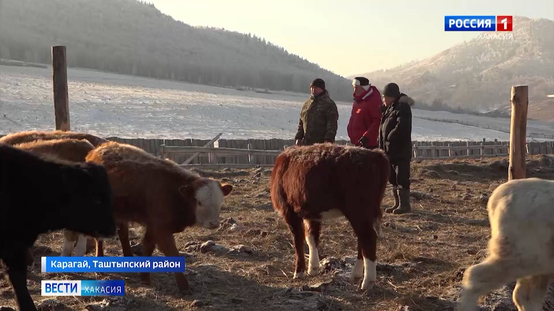 «Агростартап» в Хакасии: вложения и результаты смотреть онлайн
