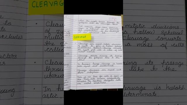 Embryonic Development | Cleavage | Reproduction in Lower and Higher Animals | Class 12th | Bio | MS смотреть онлайн