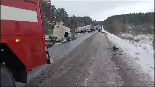 Подборка на видеорегистратор за 11.11.24 смотреть онлайн