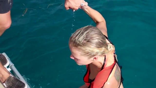 Capt Slate's Atlantis Dive Center in Key Largo, Fl смотреть онлайн