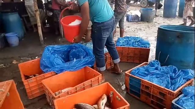 Selling Fish In Market || Продажа рыбы на рынке || Best Selling Fish Market
