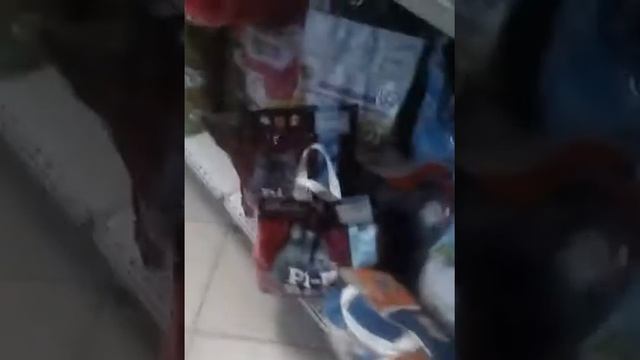 Покупки в зоомагазине смотреть онлайн