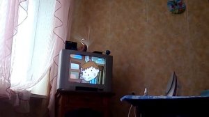 летающие звери