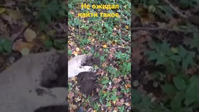 Не ожидал найти такое! смотреть онлайн