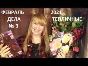 Февраль 2021 дела тепличные №3.