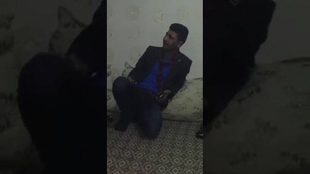 Erdal hami Zebra mi dünye naye (Mustafa alkas) смотреть онлайн