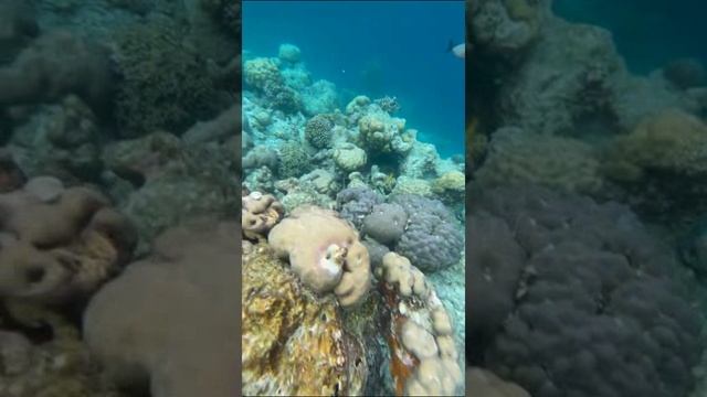 Мальдивы. Maldives. 马尔代夫。 смотреть онлайн