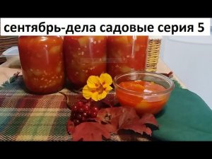 Сентябрь - дела садовые серия №5.