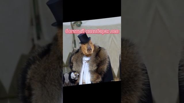 какая ты капибара по знаку зодиака??? (ну что, нашёл себя?) смотреть онлайн