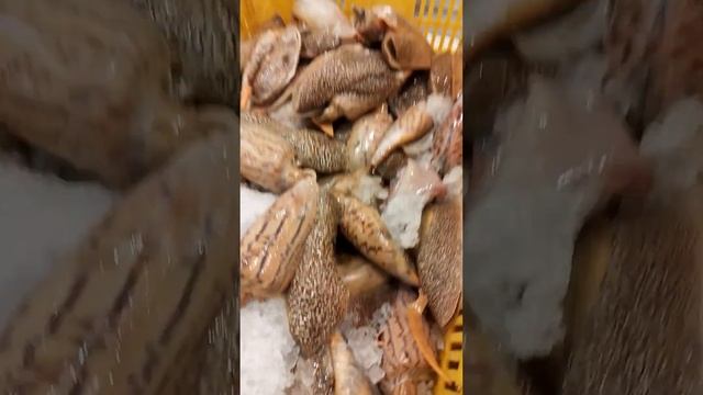 БУЭНОС -АЙРЕС. ЧТО ПРОДАЮТ В КИТАЙСКОМ РАЙОНЕ. ЧАСТЬ 2. смотреть онлайн