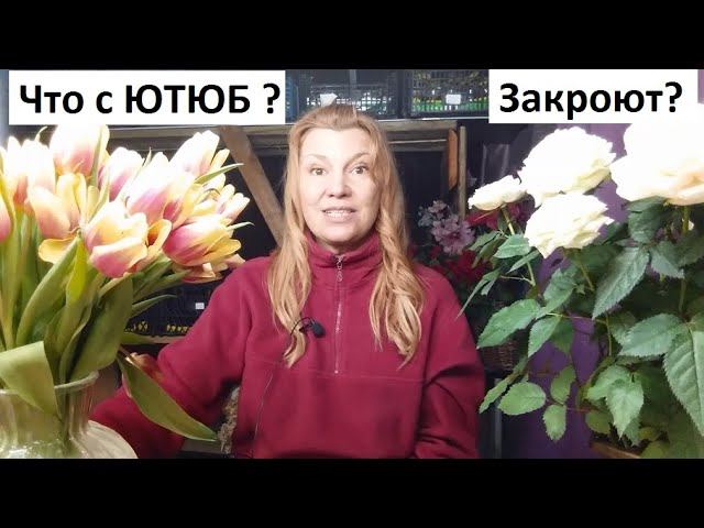 Ютюб закроют? Мы потеряемся?) Отвечаю на вопрос. смотреть онлайн