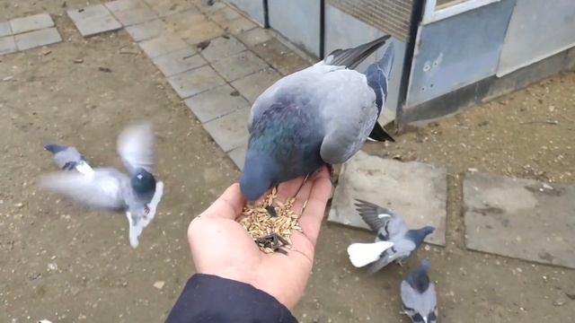 подружка смотреть онлайн