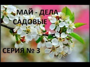 Май - дела садовые. Серия №3