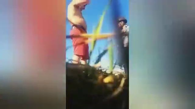 Катание на лошадях смотреть онлайн