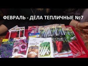 Февраль - дела тепличные №7.
