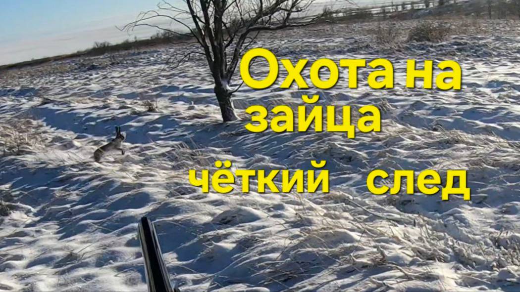 Охота на зайца Короткий След смотреть онлайн