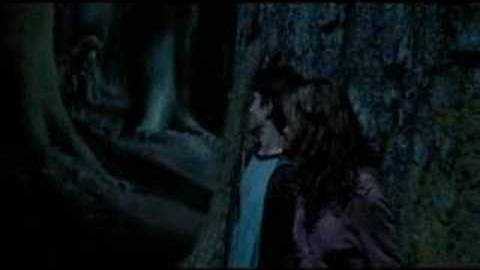 Настоящая ведьма (Канцлер Ги "Ведьма", Гарри Поттер) (Бастет)