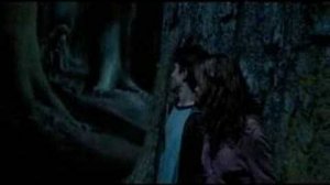 Настоящая ведьма (Канцлер Ги "Ведьма", Гарри Поттер) (Бастет)