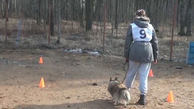 КО Альме- 25 лет. Послушание. Пара № 9 смотреть онлайн