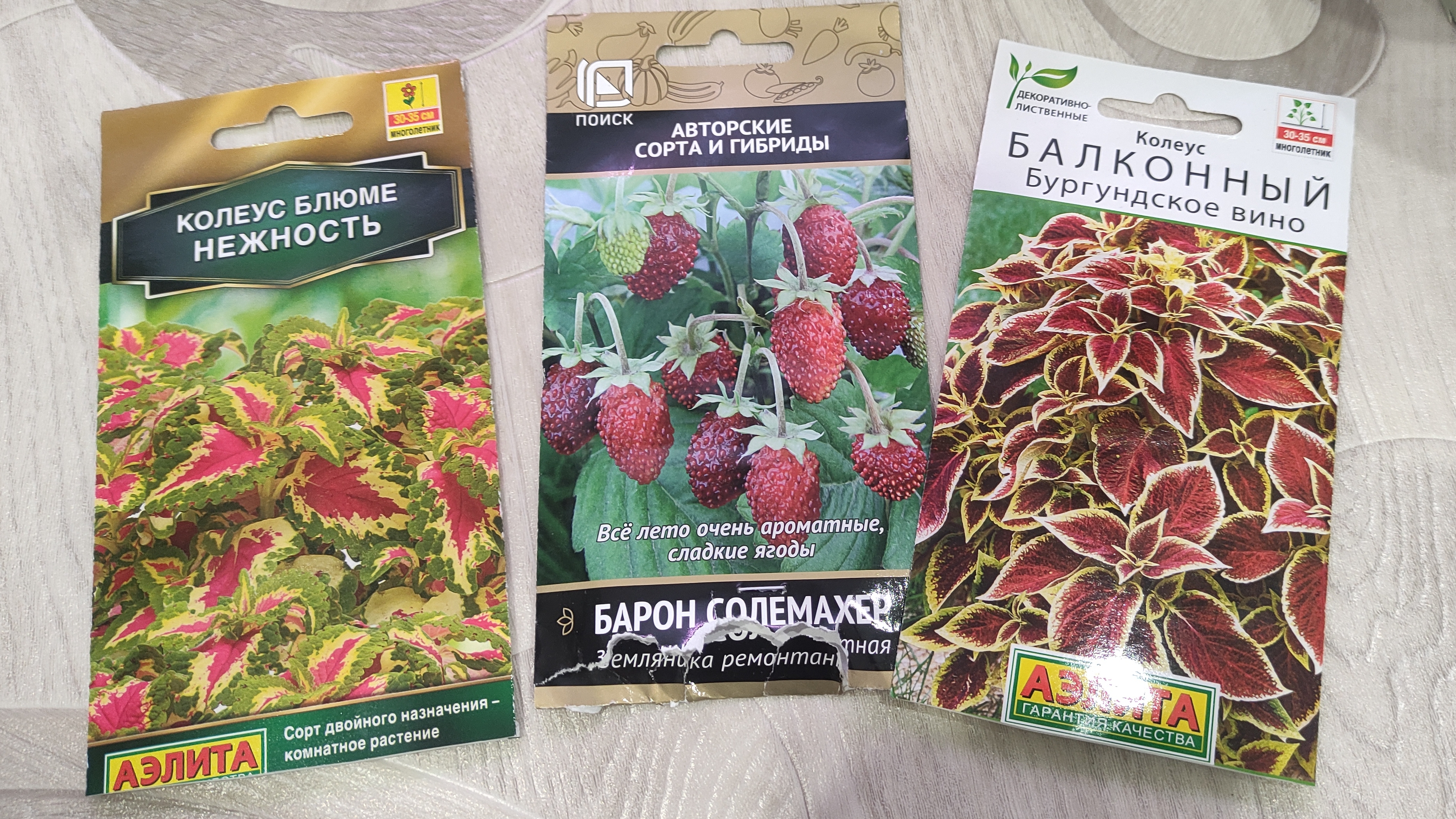 Новый сезон 2025 открыт. Сеем колеусы и землянику. Земляника Барон Солемахер.Колеусы Аэлита. смотреть онлайн