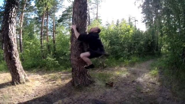 Камнеежка, кажется, мы её заметили / Охотник 3 серия / Серые Балабесы смотреть онлайн