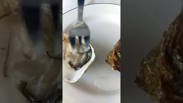 Как проверить свежая ли живая ли устрица смотреть онлайн