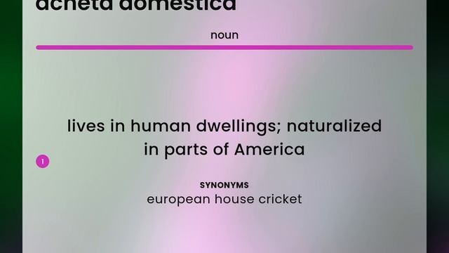 Acheta domestica | what is ACHETA DOMESTICA definition смотреть онлайн