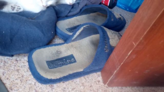 21 июня 2018 г. смотреть онлайн