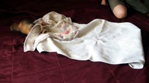 Купание хорька Алисы