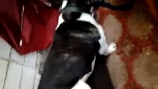 Беня смотреть онлайн