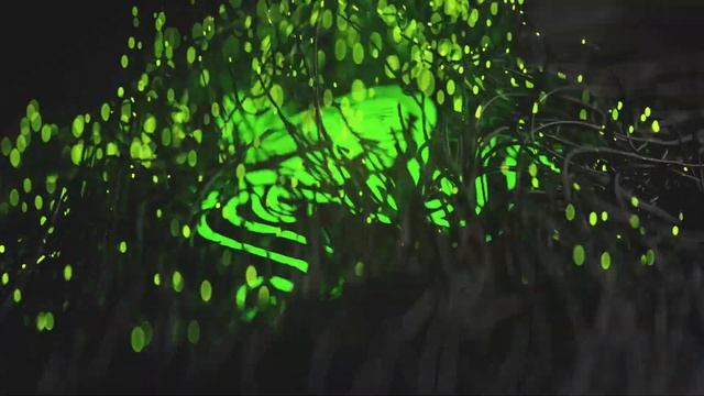 Razer Mamba Wireless смотреть онлайн