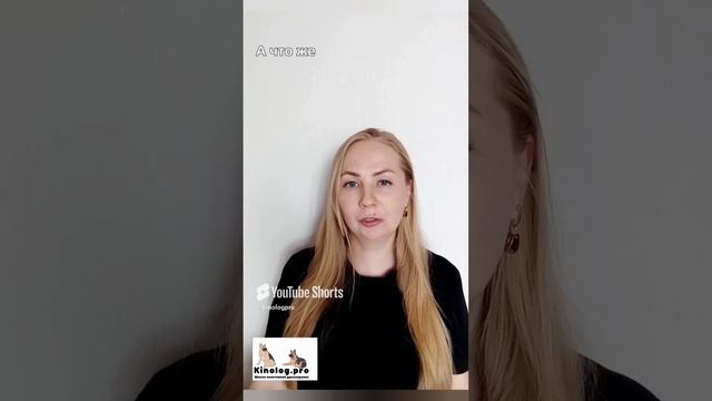 Чем современные методы дрессировки лучше старых, советских. Часть 1. смотреть онлайн