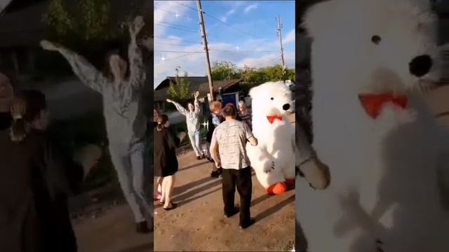 Белый медведь поздравил любимую маму, бабушку смотреть онлайн