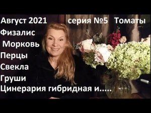Август 2021 серия №5. Урожай моркови. Когда поспел физалис?