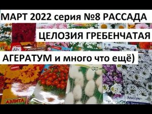 Март 2022 серия №8 Целозия гребенчатая. Агератум и др)).