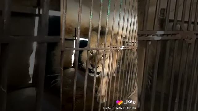 22 декабря 2019 г. смотреть онлайн