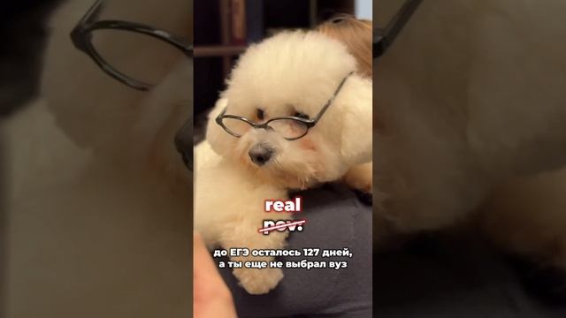 Надеемся, что не жизненно 😬 смотреть онлайн
