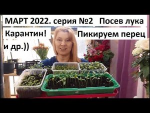 Март 2022 г. серия №2 Посев лука. Пикировка перца и петунии.
