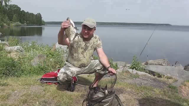 Рыбалка на Белоярке летом. Клюют килограммовые лещи. смотреть онлайн