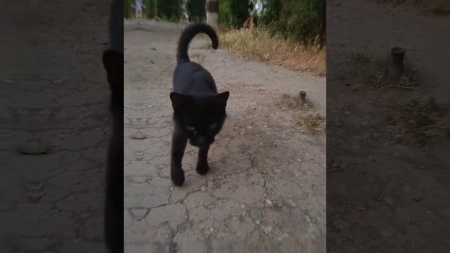 фотки 💕 смотреть онлайн