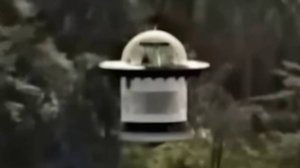 UFO-НЛО КИНДЗА_ЗА в Колумбии Реальные кадры декабря 24 года