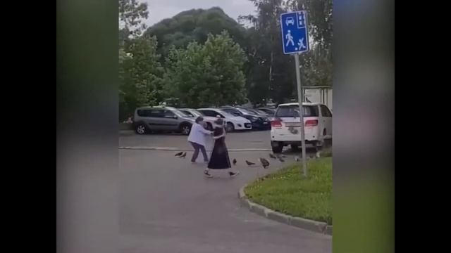 Повелительница голубей смотреть онлайн