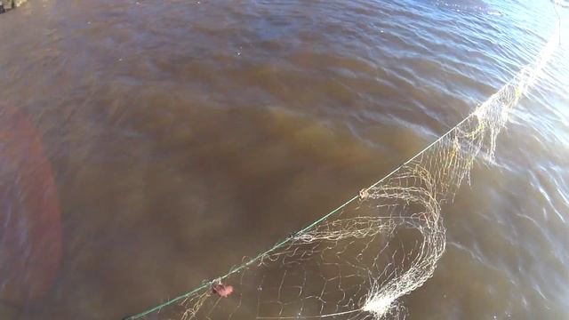 Столько всыпало рыбы!Кое как дотянул мешок до берега! смотреть онлайн