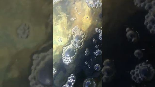 ОСЁТР НА 3КГ смотреть онлайн