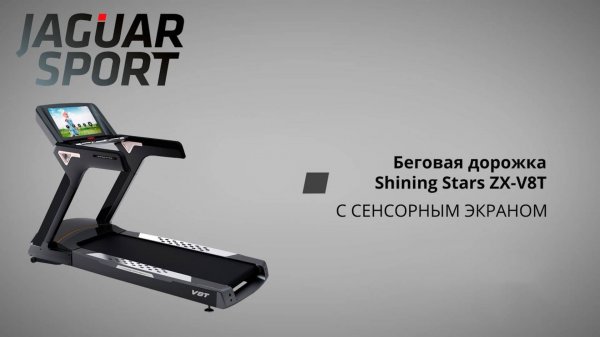 Беговая дорожка Shining Stars ZX-V8T