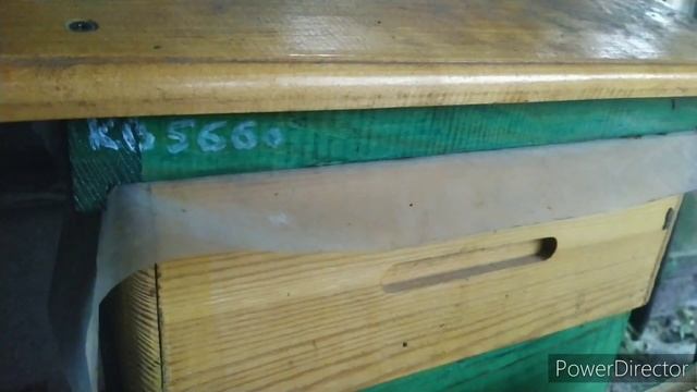 Альпийский улей. Зимовка 20.01.23 смотреть онлайн