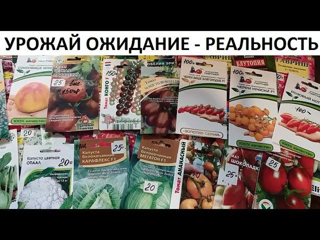 Урожай 2021 ОЖИДАНИЕ - РЕАЛЬНОСТЬ. смотреть онлайн