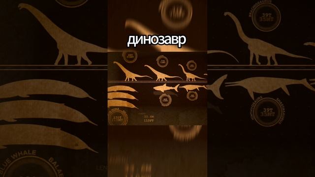 Синий Кит или Мегалодон кто больше Блупа? смотреть онлайн