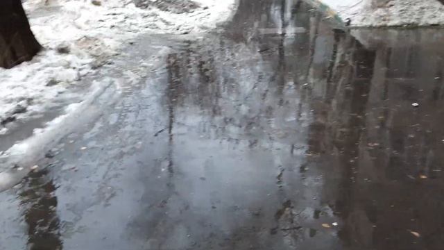 собянинская сволочь уже 12 лет! это город Москва это не какая-то область люди не могут из дома выйт смотреть онлайн