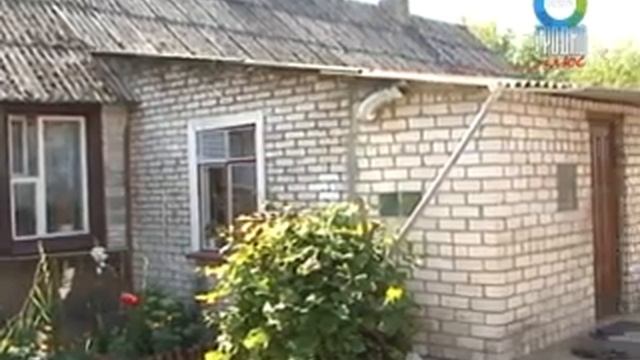 Осы атакуют гродненцев смотреть онлайн